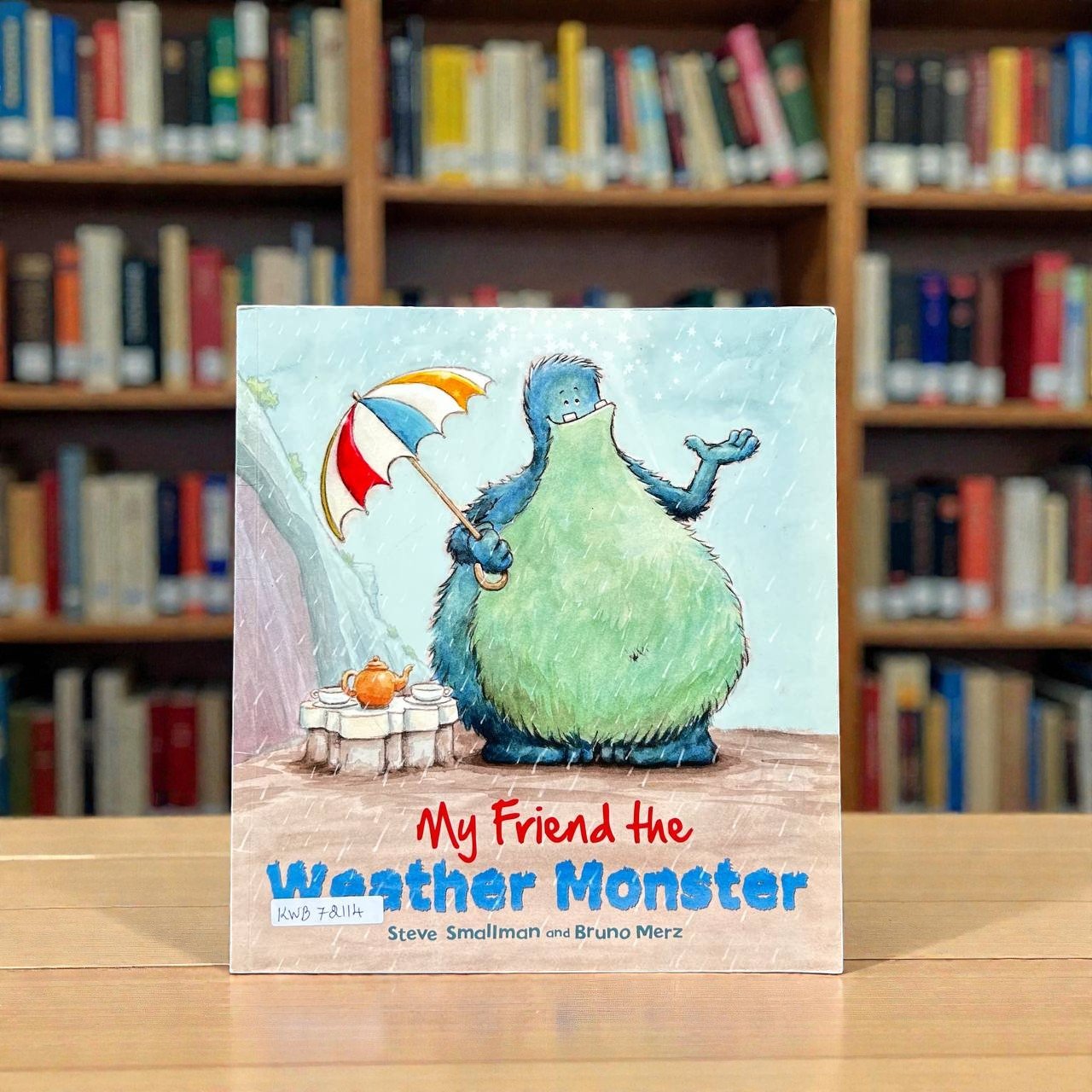 My Friend The Weather Monster_Storytime_QED_Steve Smallman_RDS_KWB72114
