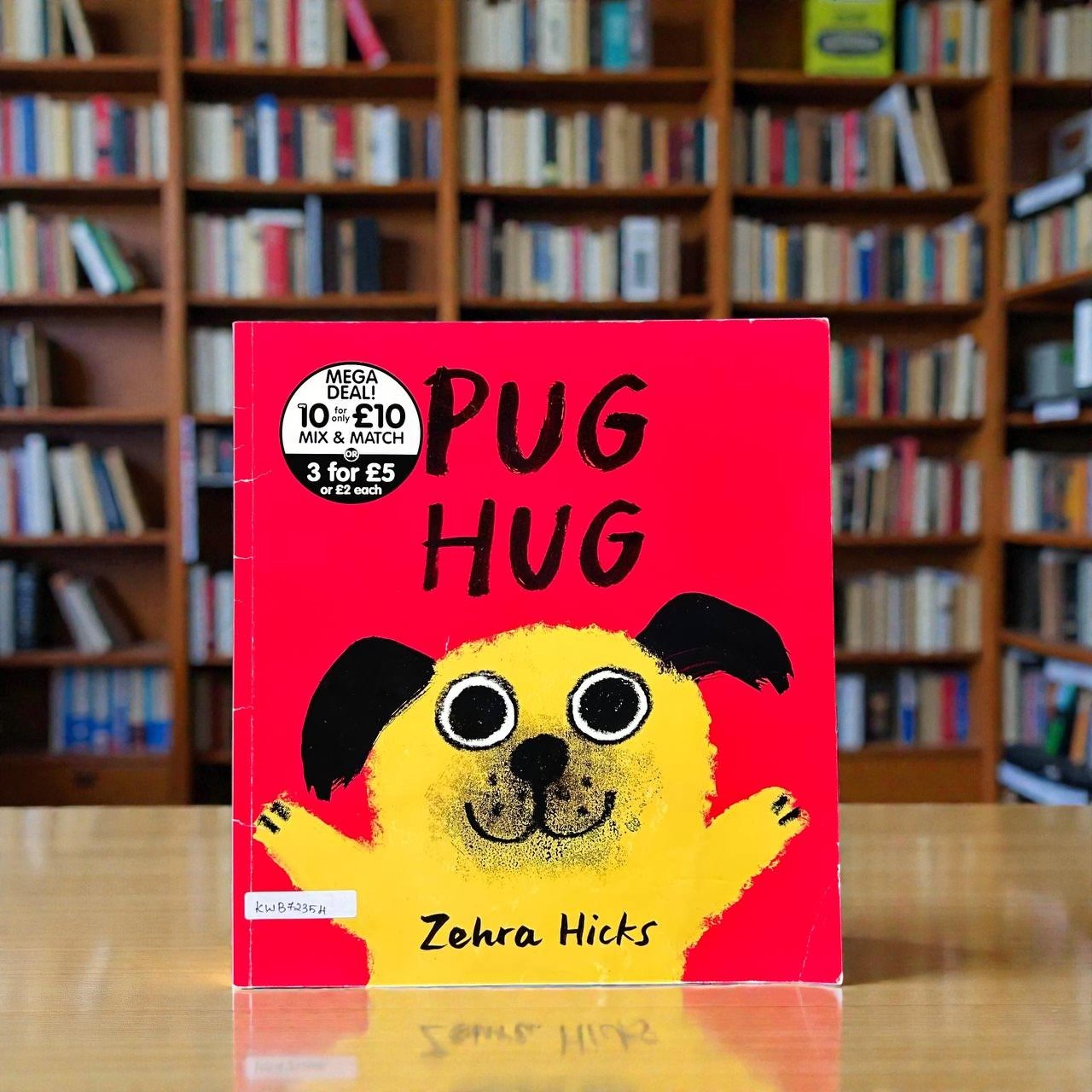 Pug Hug_Hodder Children_Zehra Hick_RDS_KWB72354