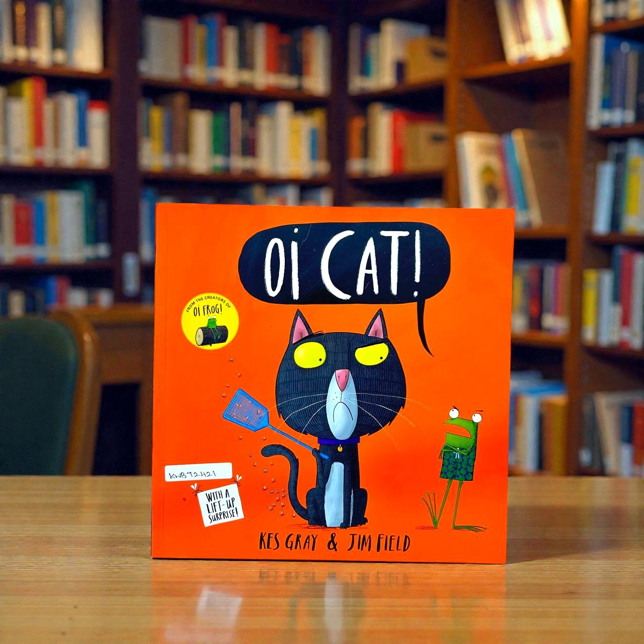 Oi Cat_Kes Gray_KWB72421