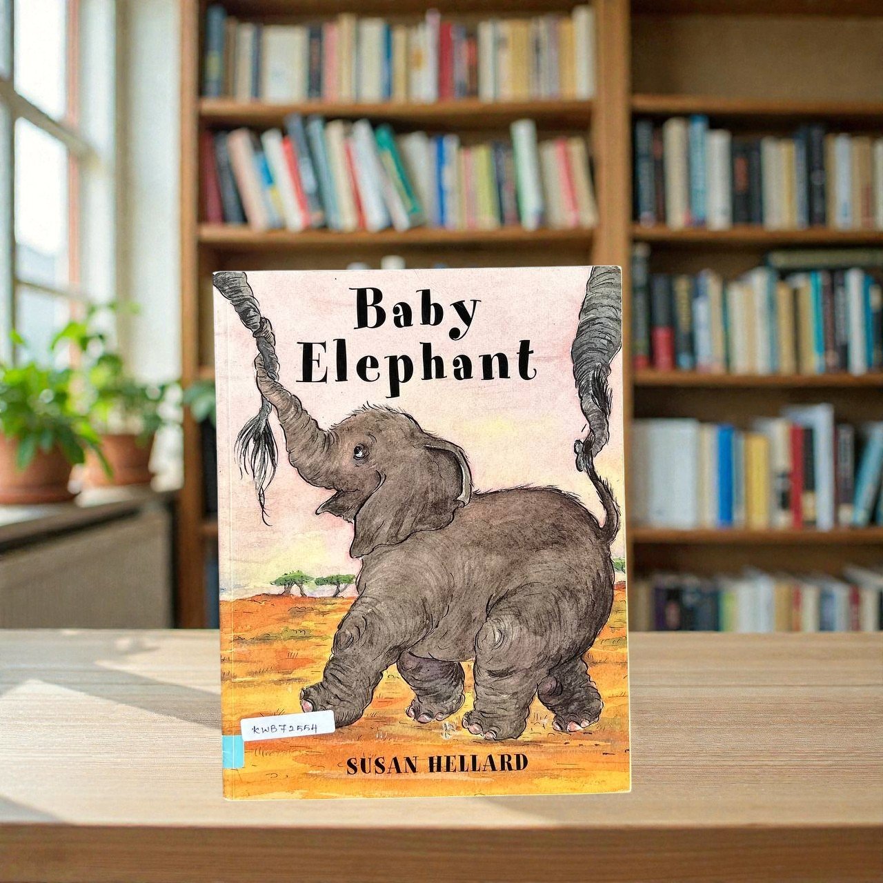 Baby Elephant_Susan Hellard_RDS_KWB72554