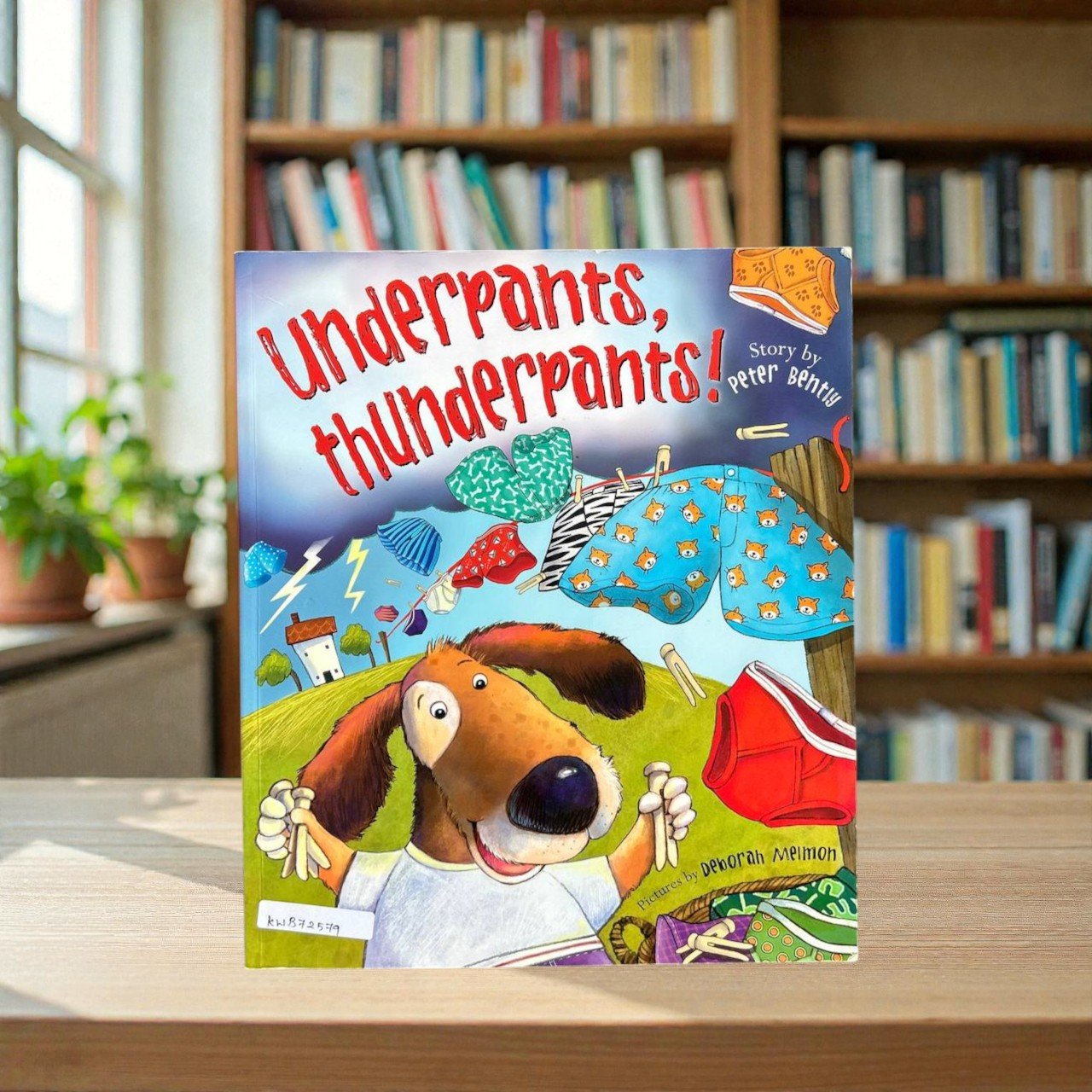 Underpants, Thunderpants_Peter Bently_RDS_KWB72579