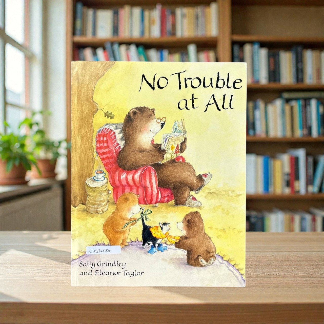 No Trouble At All_Sally Grindley_RDS_KWB72586