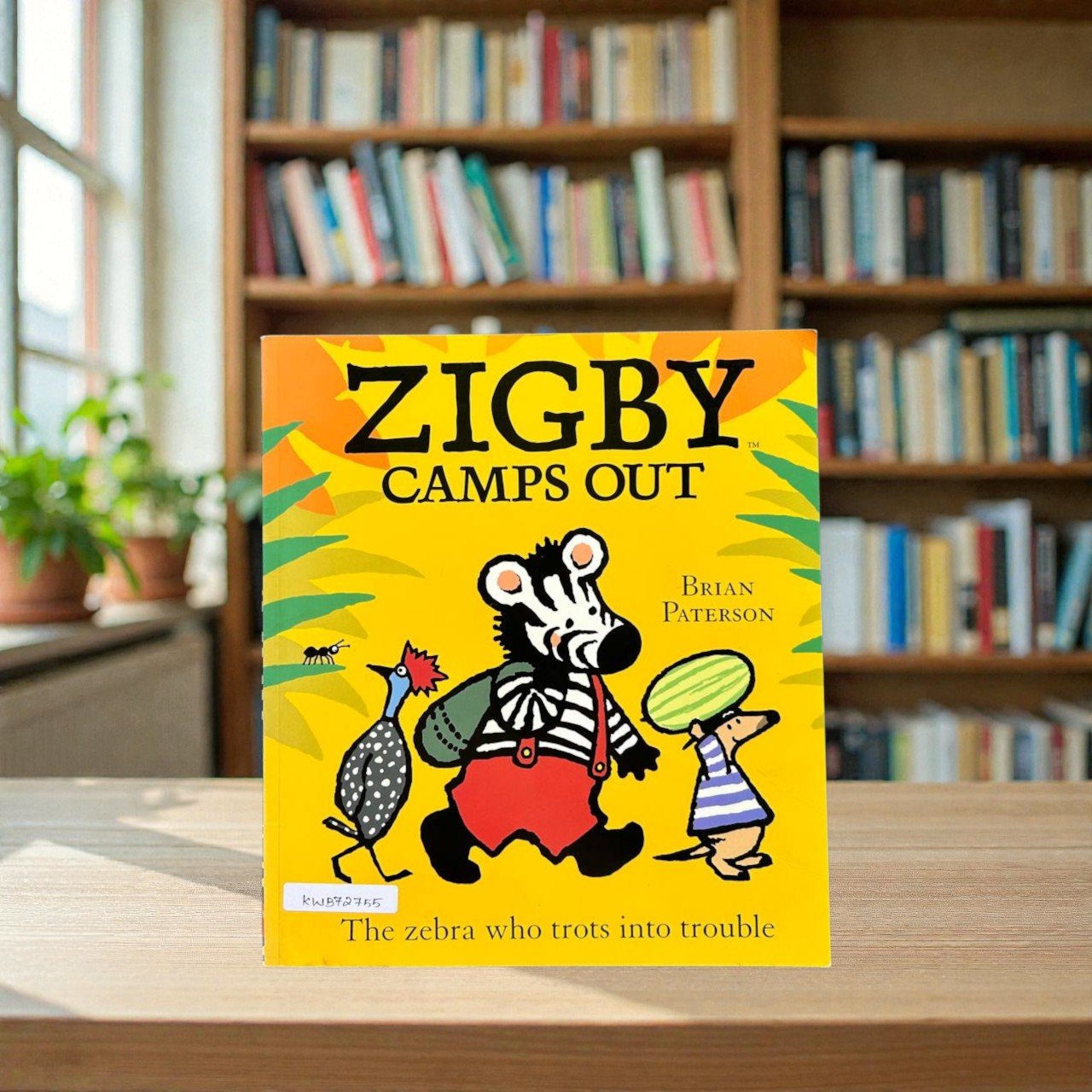 Zigby Camps Out_Brian Paterson_RDS_KWB72755