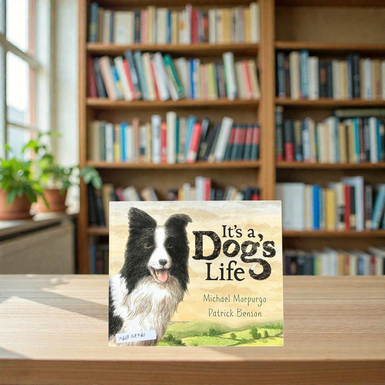 It's A Dogs Life_Michael Morpurgo_RDS_KWB72760