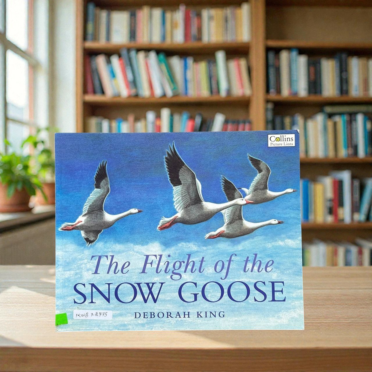 The Flight Of The Snow Goose_Deborah King_RDS_KWB72775