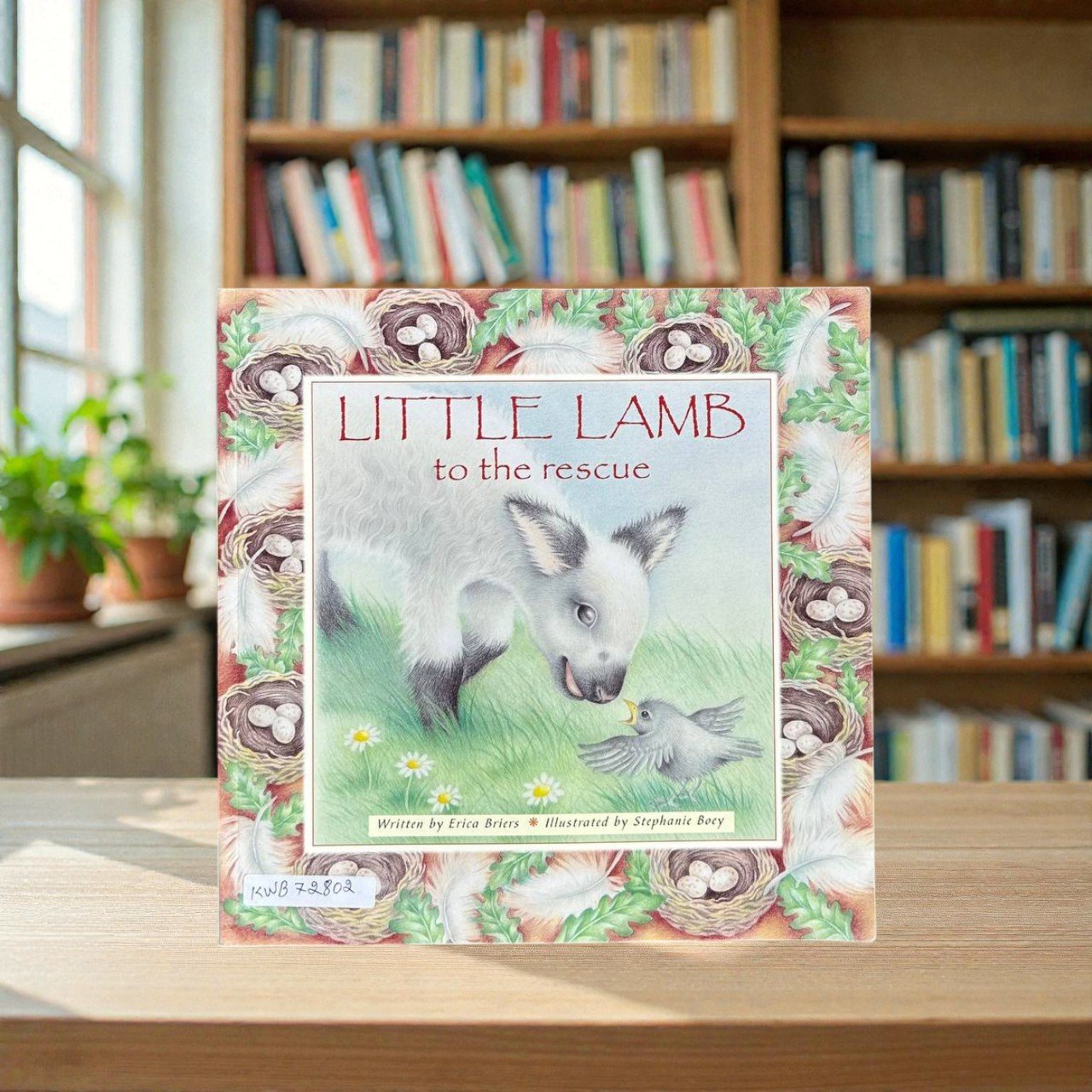 Little Lamb To The Rescue_Erica Briers_RDS_KWB72802