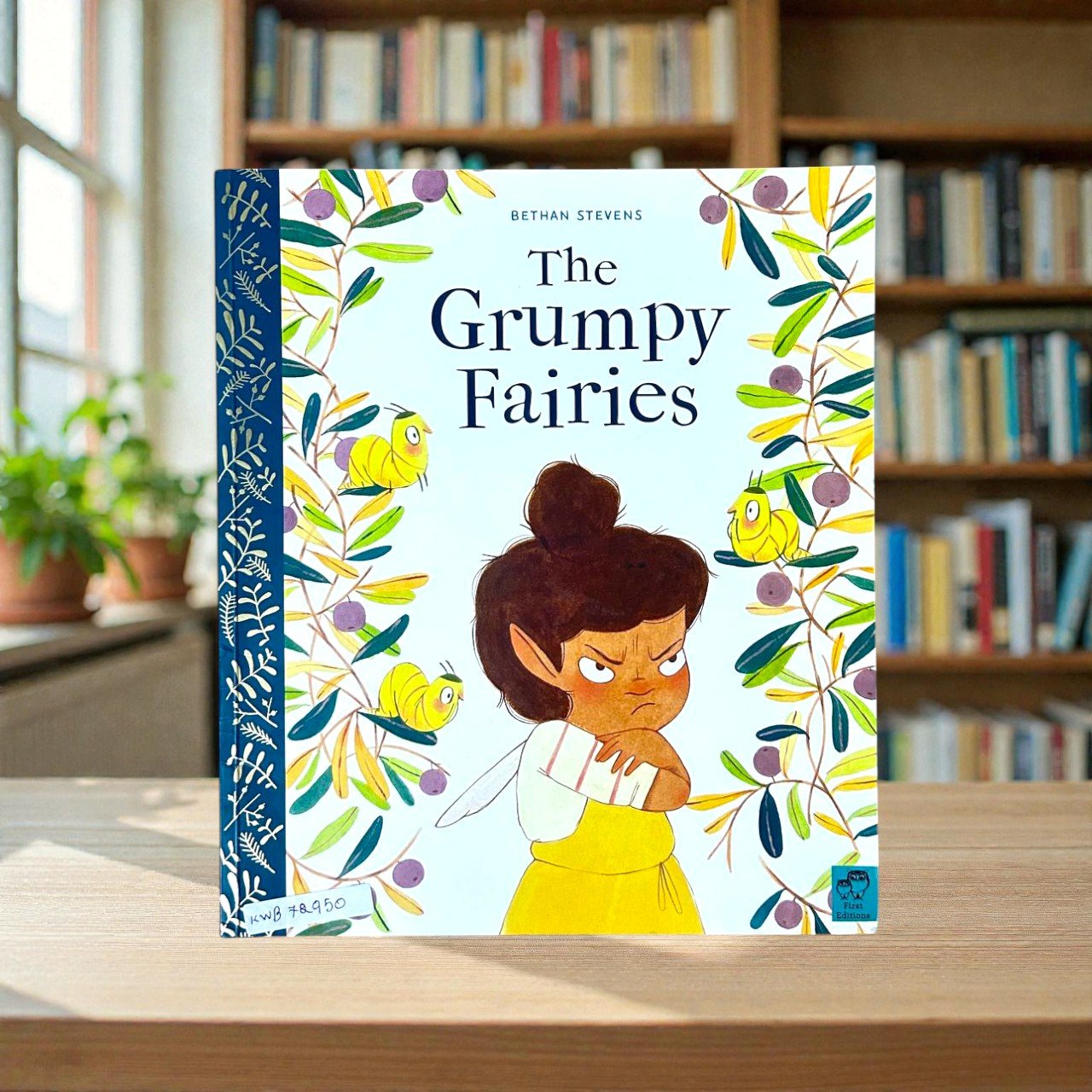 The Grumpy Fairies_Bethan Stevens_RDS_KWB72950