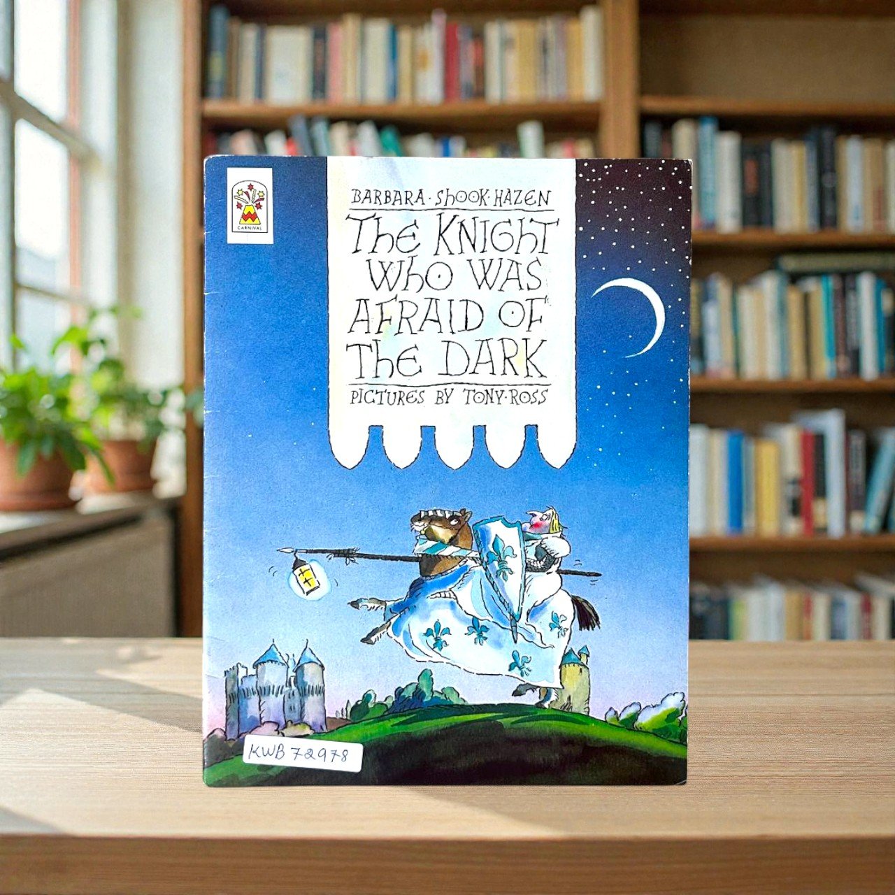 The Knight Who Was Afraid Of The Dark_Tony Ross_RDS_KWB72978