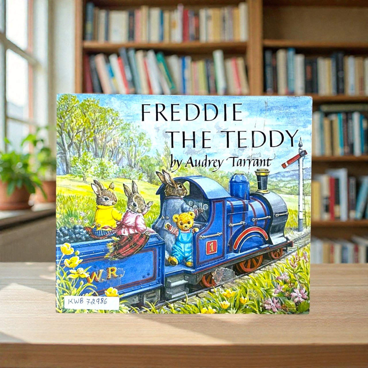 Freddie The Teddy_Used_Audrey Tarrant_RDS_KWB72986