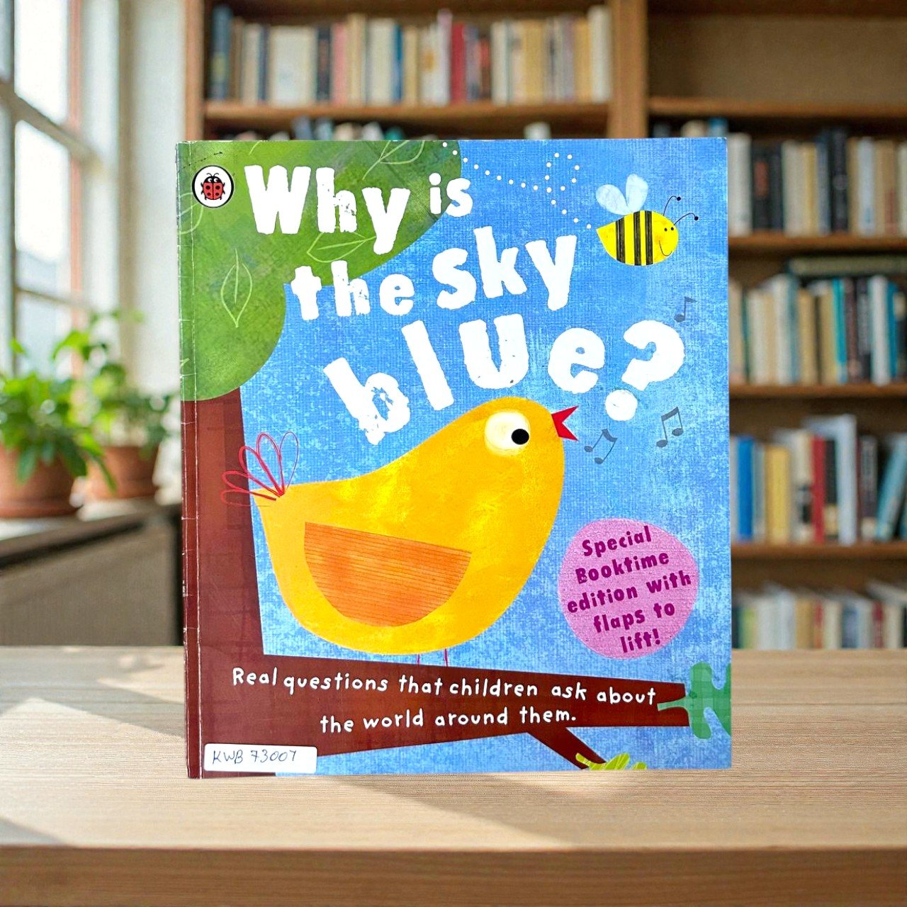 Why Is The Sky Blue?_Flap Book_Amy Schimler_RDS_KWB73007