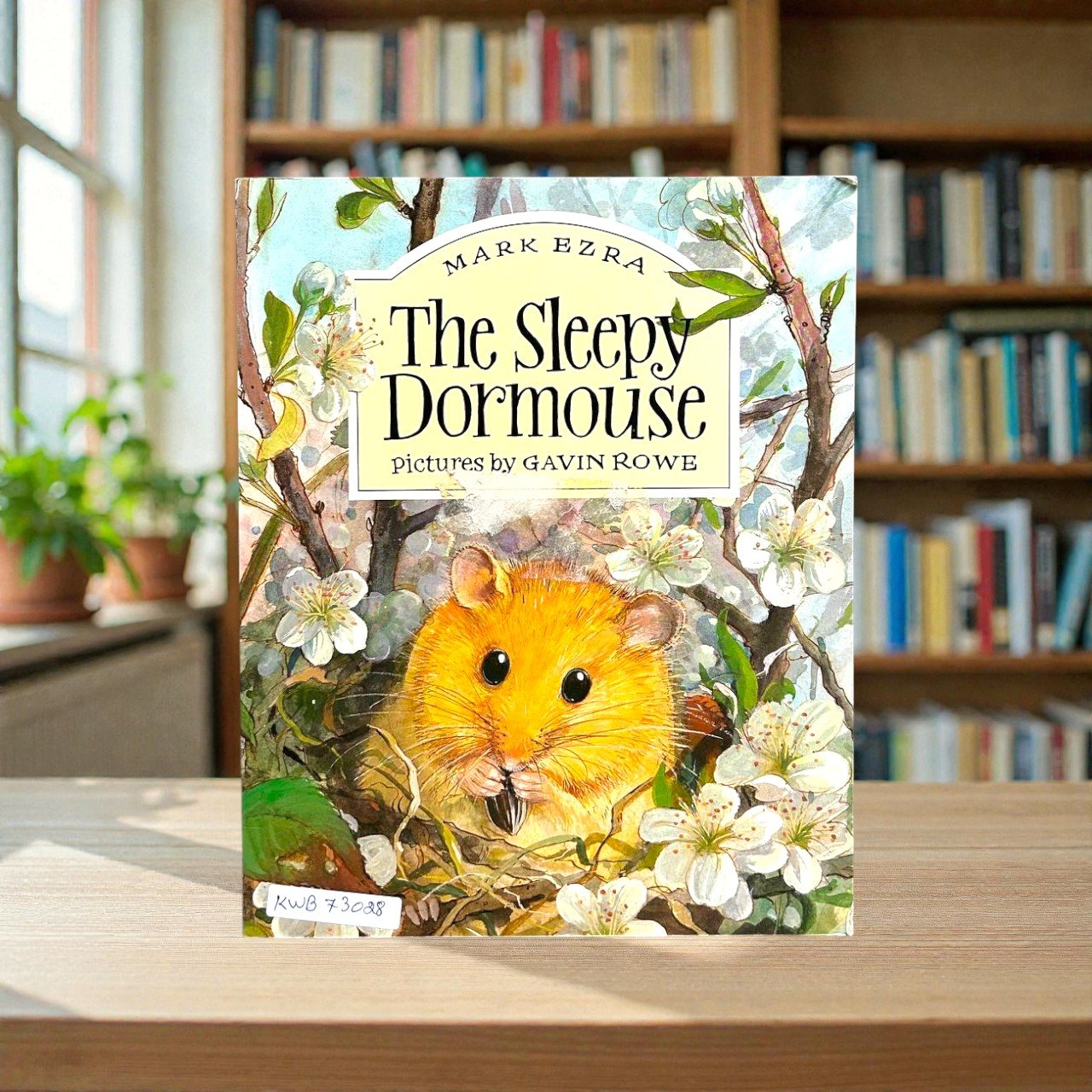 The Sleepy Dormouse_Gavin Rowe_RDS_KWB73028