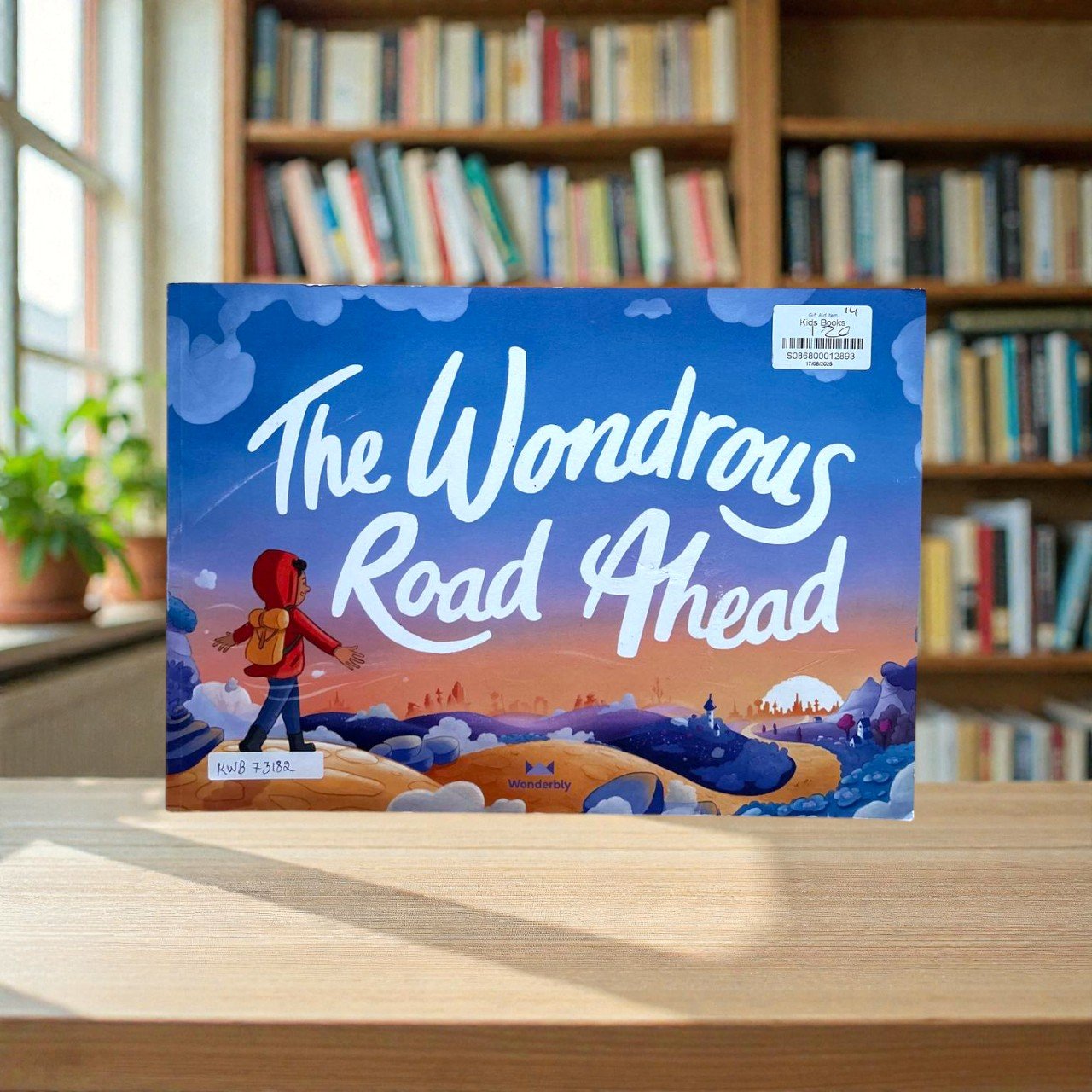 The Wondrous Road Ahead_Wonderbly_RDS_KWB73182
