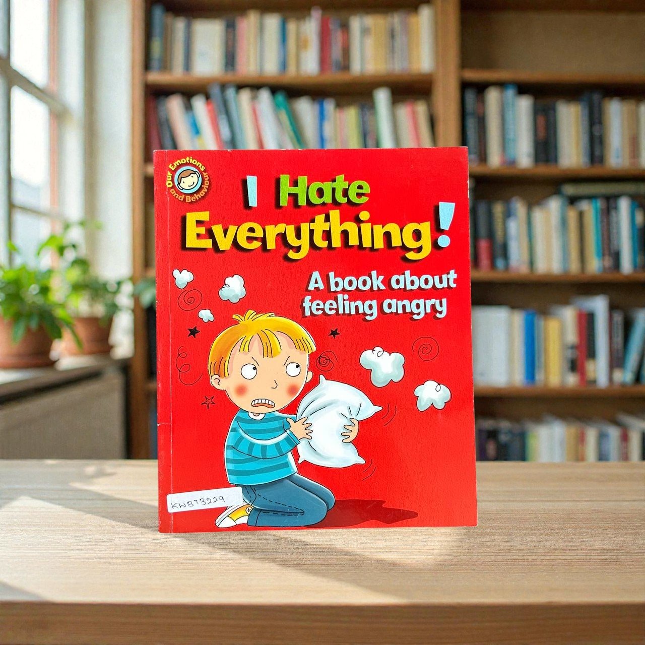 I Hate Everything! A Book About Feeling Angry_Our Emotions And Behaviour_Famous_Sue Graves_KWB73229