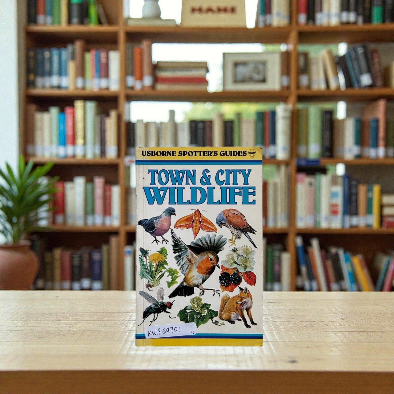 Pocket Friendly_Town & City Wildlife_Usborne Spotter's Guide_Usborne_KWB69701
