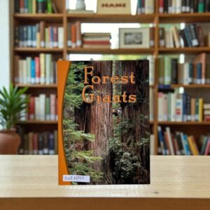 Forest Giants_Lynette Evans_KWB69703