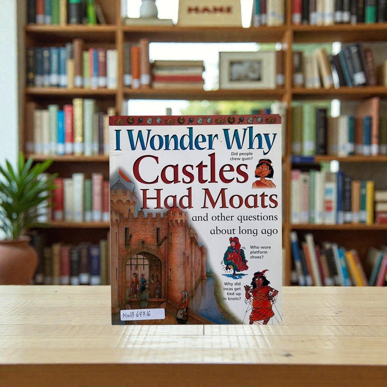 I Wonder Why Castles Had Moats And Other Questions About Long Ago_Kingfisher_KWB69716