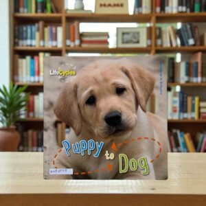 Puppy To Dog_Lifecycles_QED_KWB69719