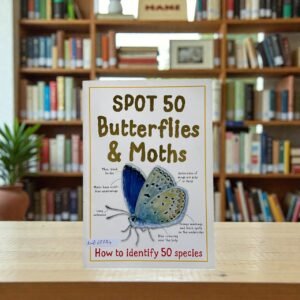 Spot 50 Butterflies & Moths_Miles Kelly_KWB69724