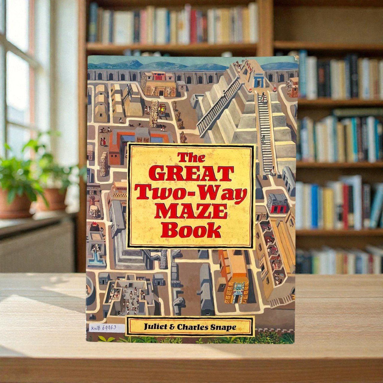 The Great Two Way Maze Book_Juliet_KWB69963