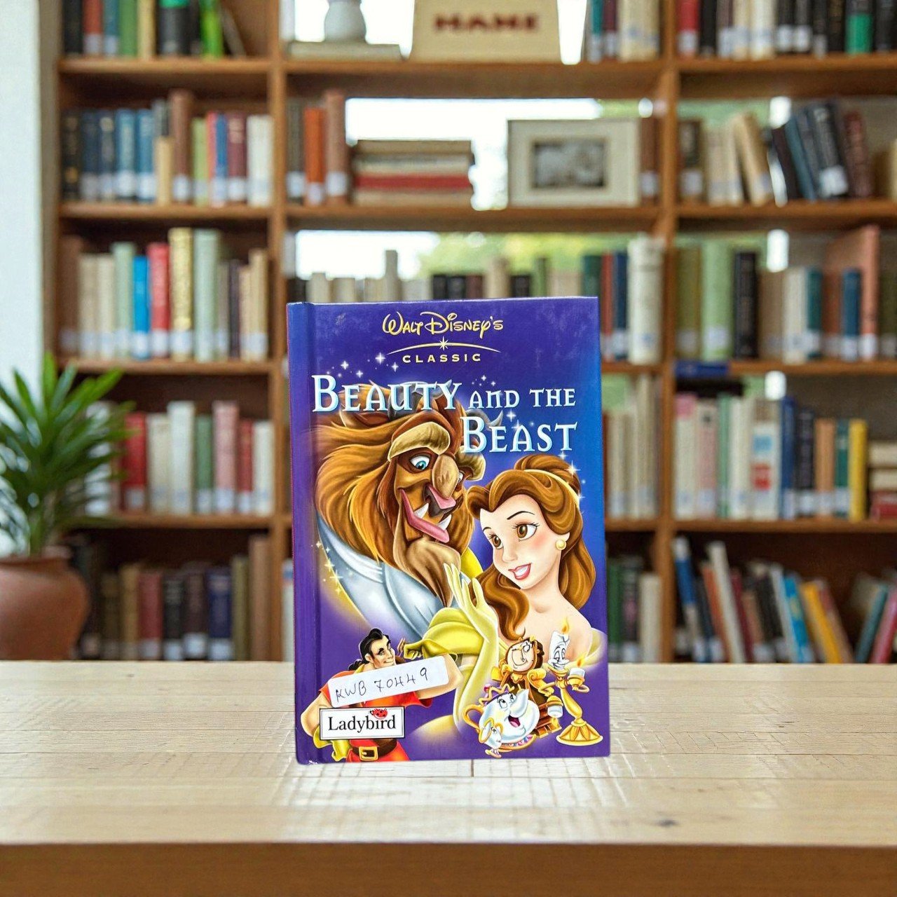 Pocket Friendly_Beauty And The Beast_Ladybird_KWB70449