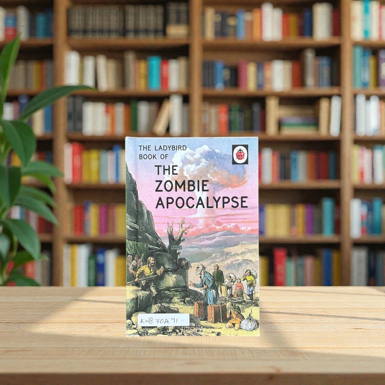 Pocket Friendly_The Zombie Apocalypse_Ladybird_KWB70471