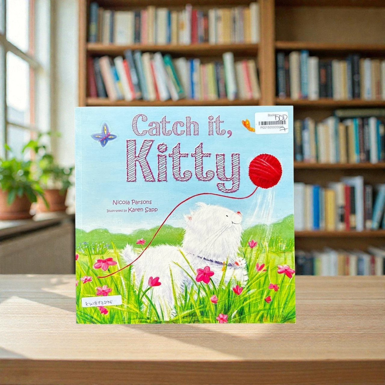 Catch It Kitty_Nicola Parsons_KWB73295