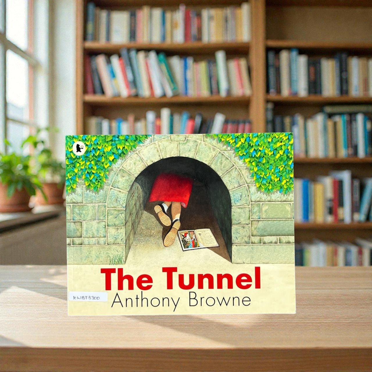 The Tunnel_Anthony Browne_KWB73300