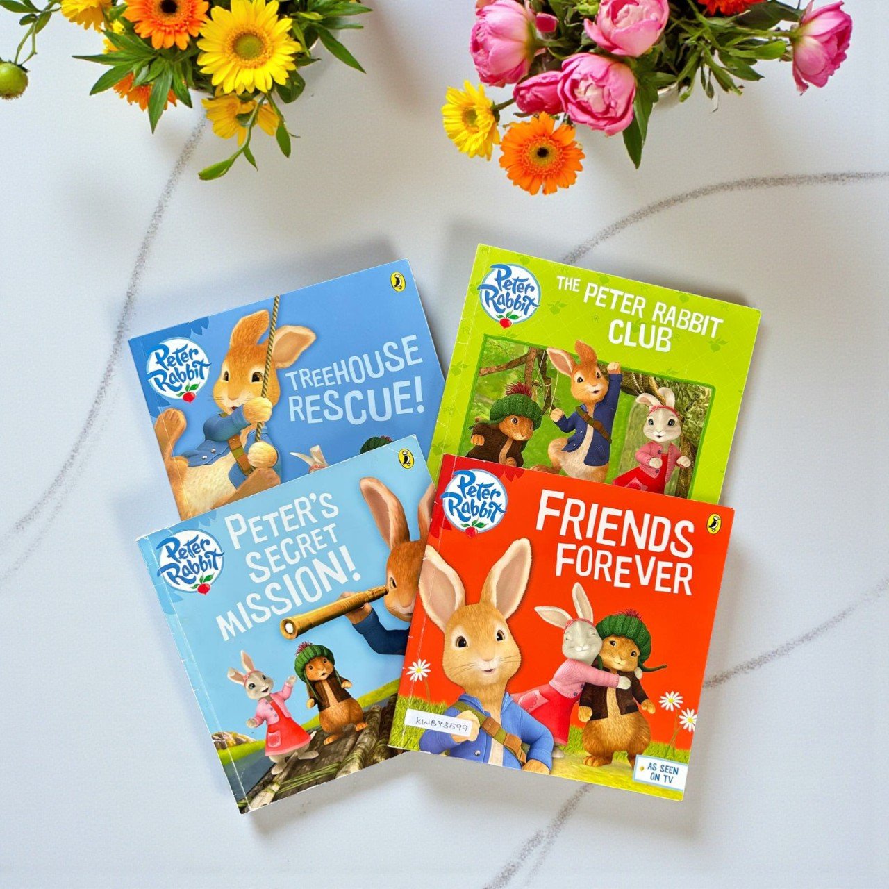 Peter Rabbit_Set Of 4 Books_Beatrix Potter_KWB73599