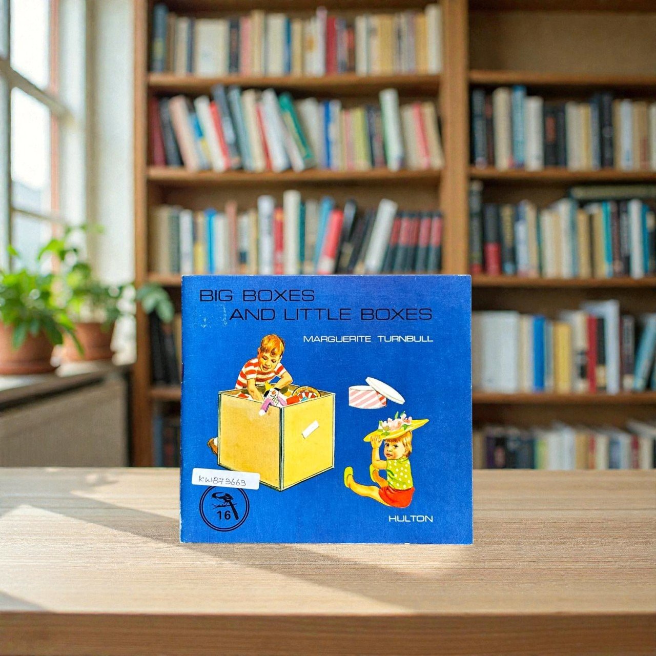 Big Boxes And Little Boxes_Marguerite Turnbull_KWB73663