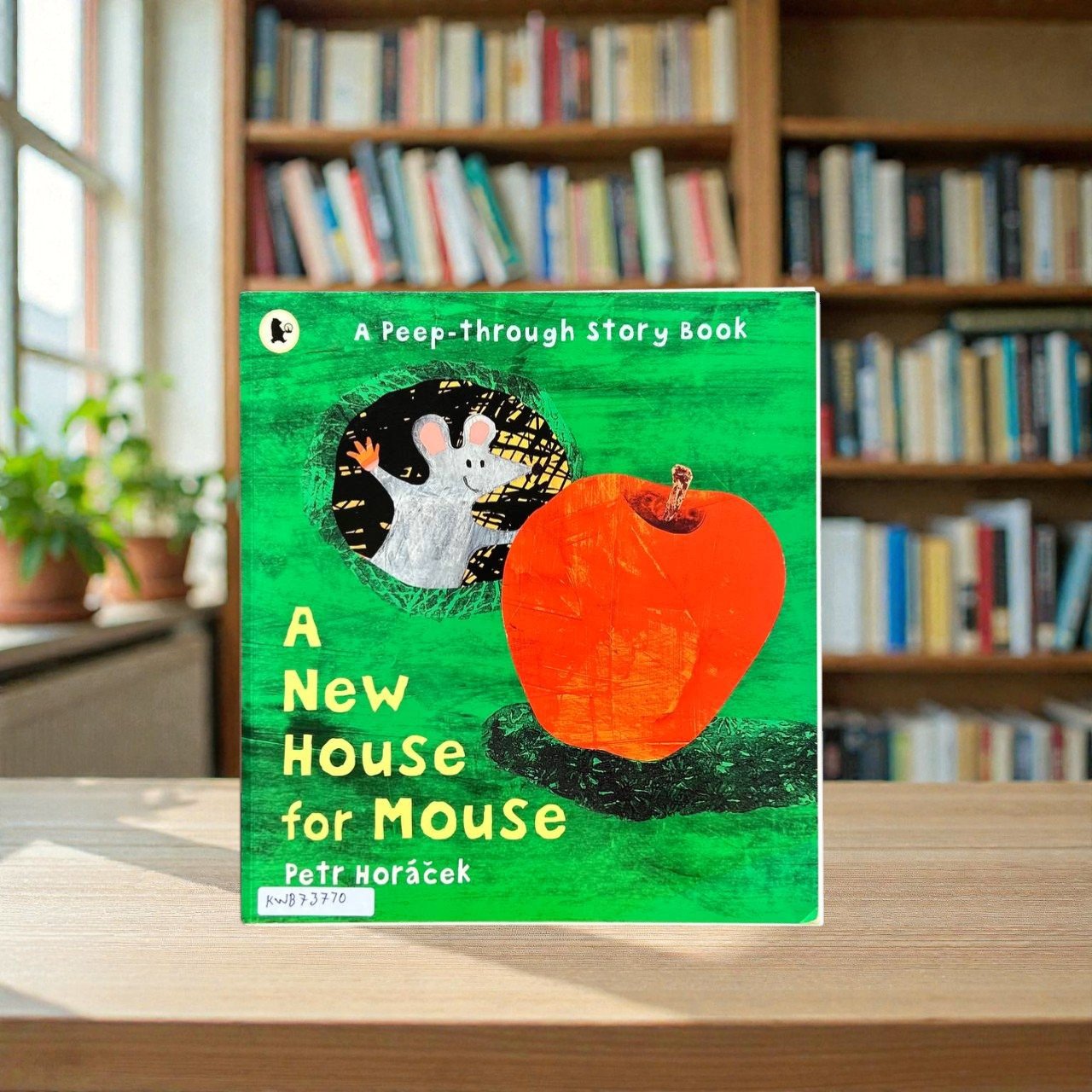 A New House For Mouse_Petr Horacek_KWB73770