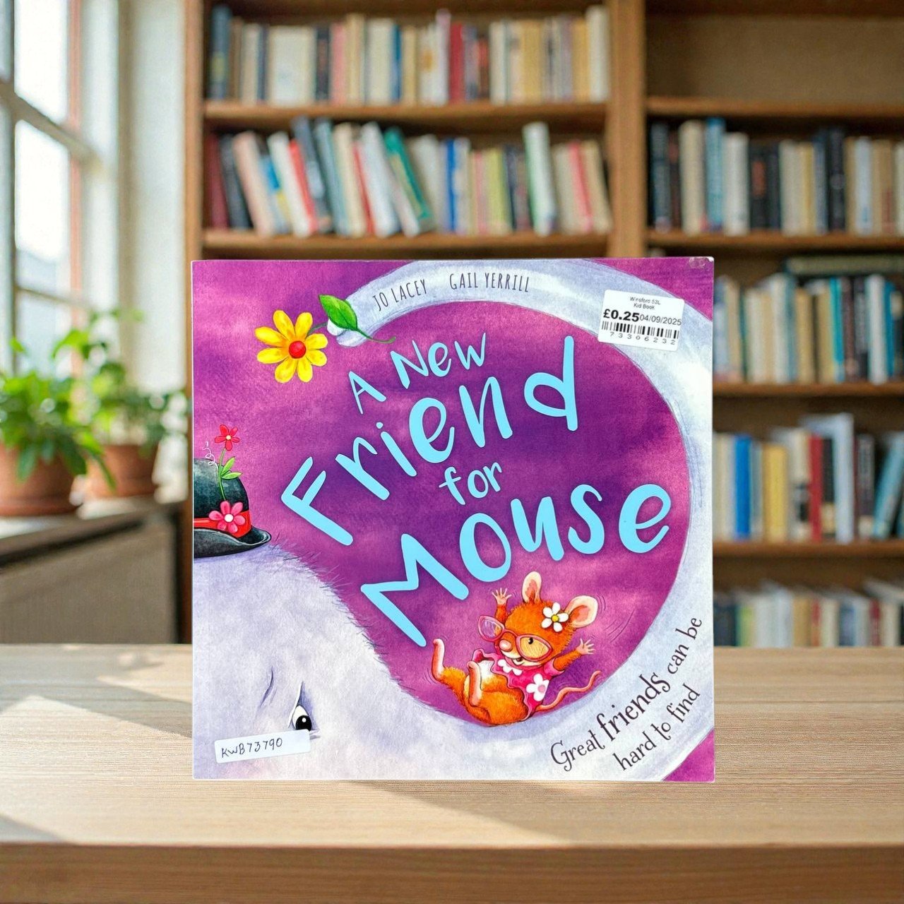 A New Friend For Mouse_Jo Lacey_KWB73790