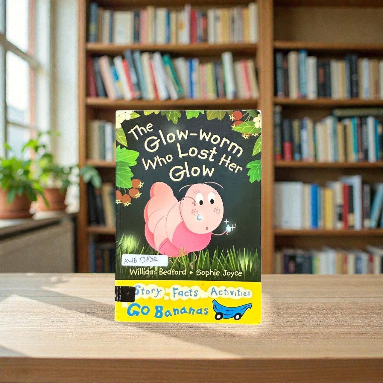 The Glow Worm Who Lost Her Glow_William Bedford_KWB73832