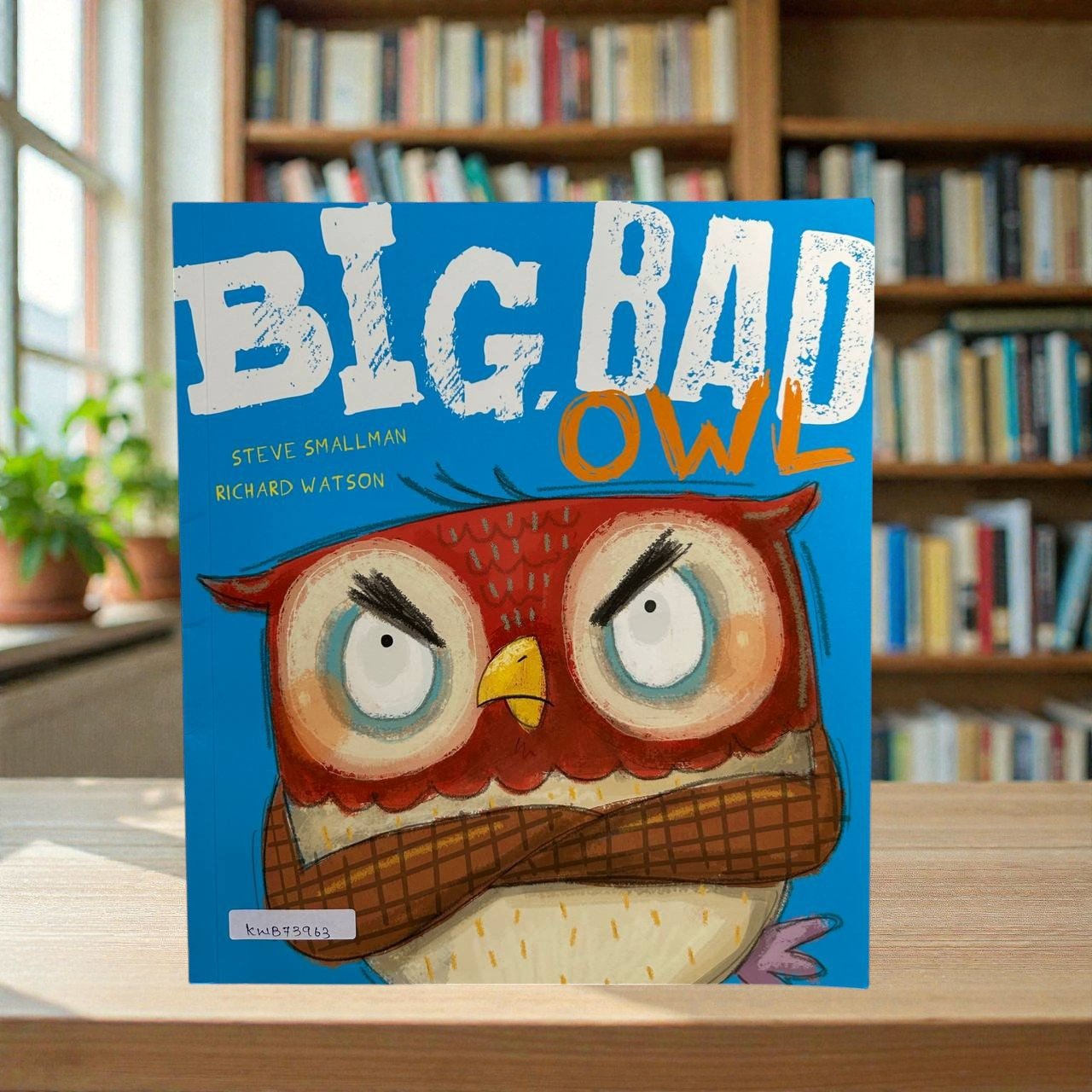 Big Bad Owl_Steve Smallman_KWB73963