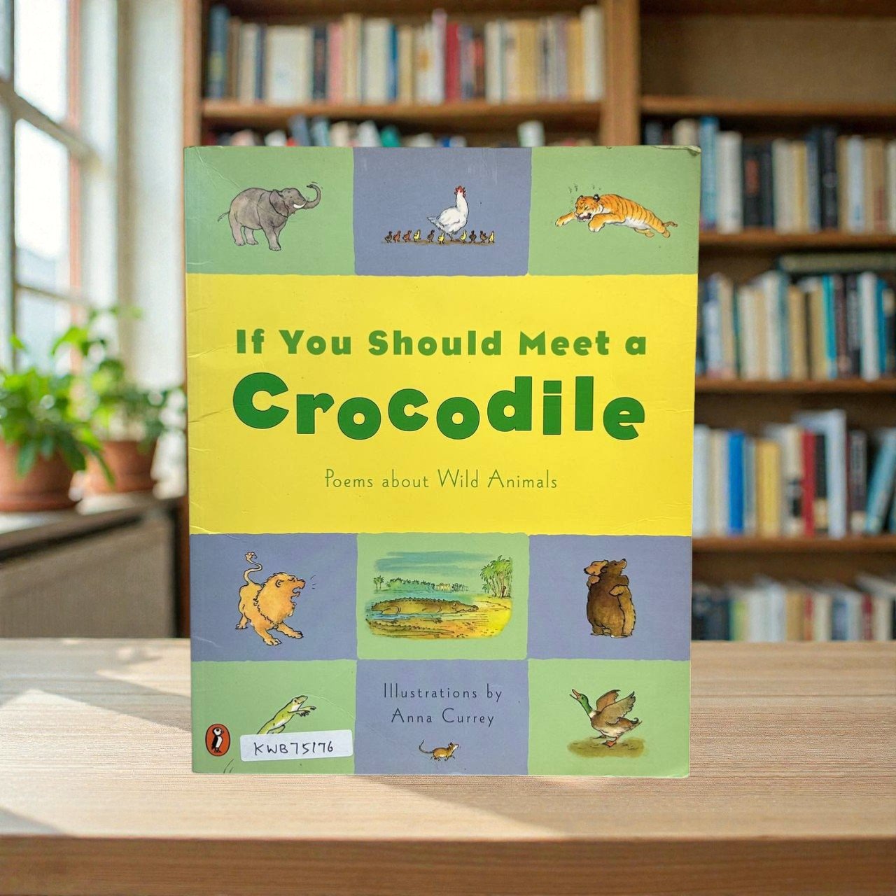 If You Should Meet A Crocodile_Poems About Wild Animals_Anna Currey_KWB75176