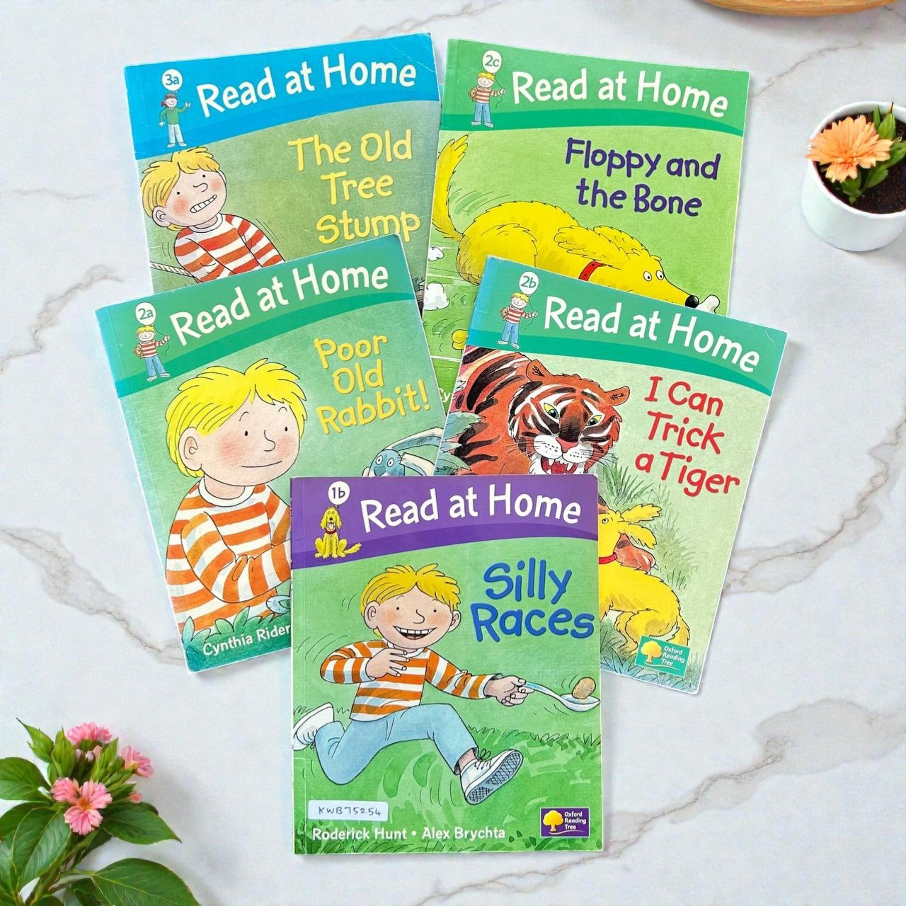 Read At Home_Oxford_Set Of 5 Books_Roderick Hunt_KWB75254