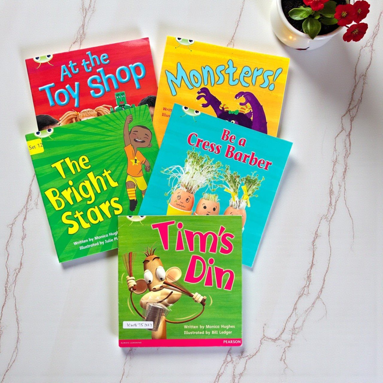 Phonics Bug_Set Of 5 Books_Pearson_KWB75327