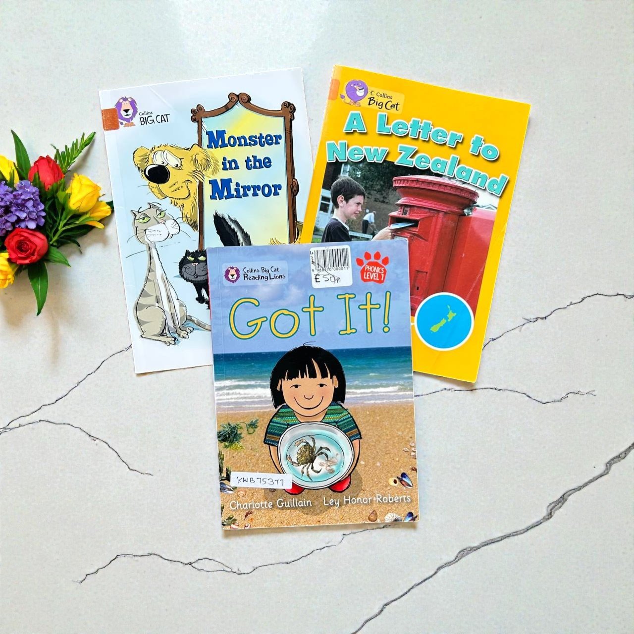 Collins Big Cat_Set Of 3 Books_Collins_KWB75377