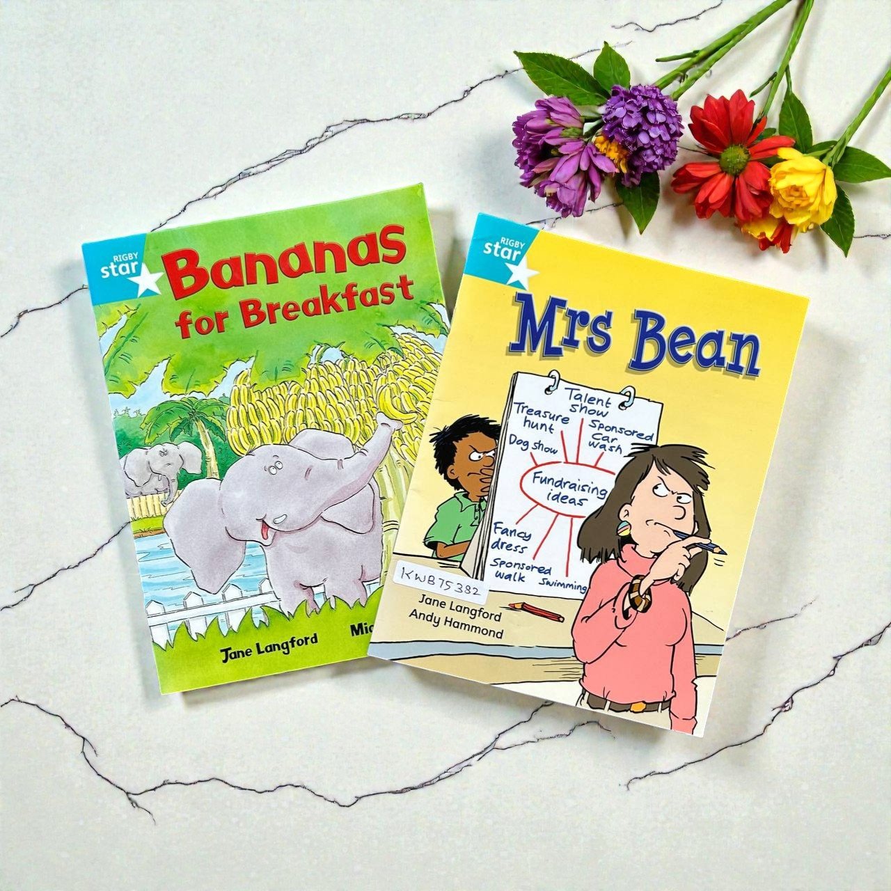 Rigby Star_Set Of 2 Books_Rigby_KWB75382