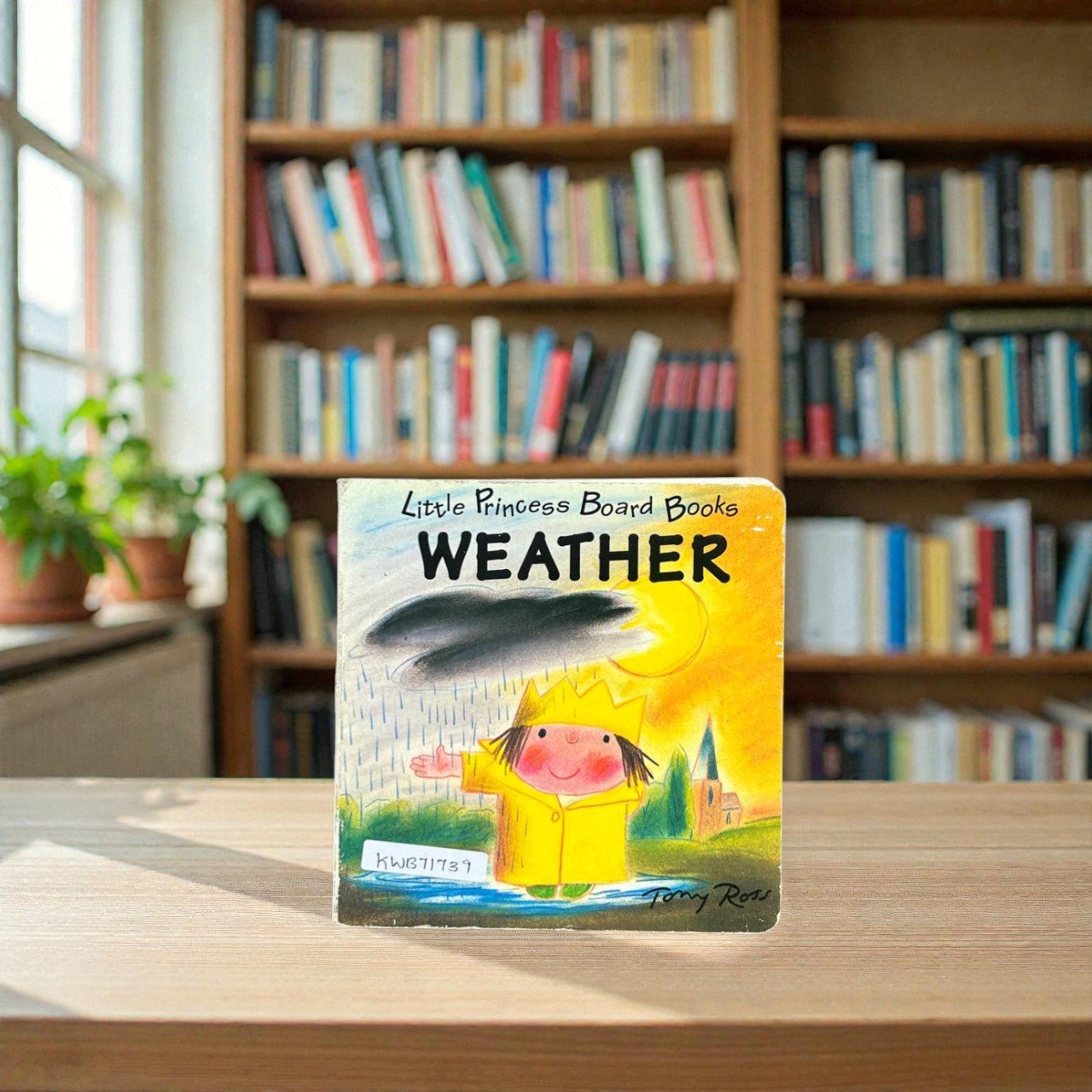 Weather_Used_Tony Ross_KWB71739