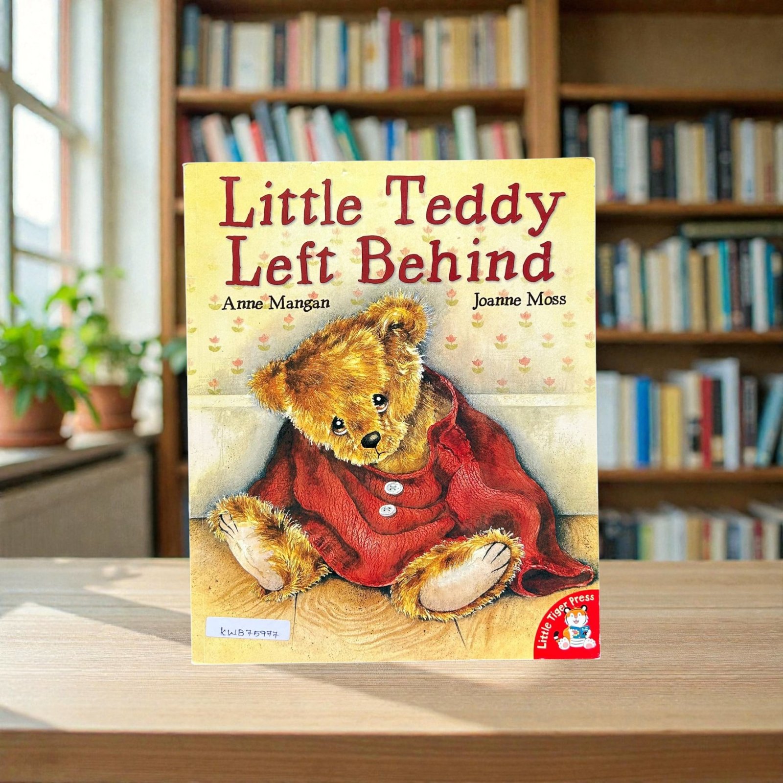 Little Teddy Left Behind_Anne Mangan_KWB75977