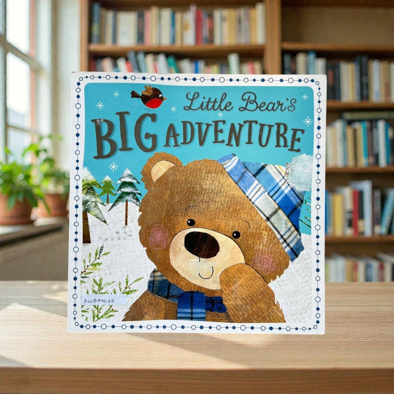 Little Bear's Big Adventure_Clare Fennell_KWB77027