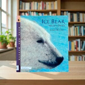 Ice Bear_Used_Nicola Davies_KWB77096