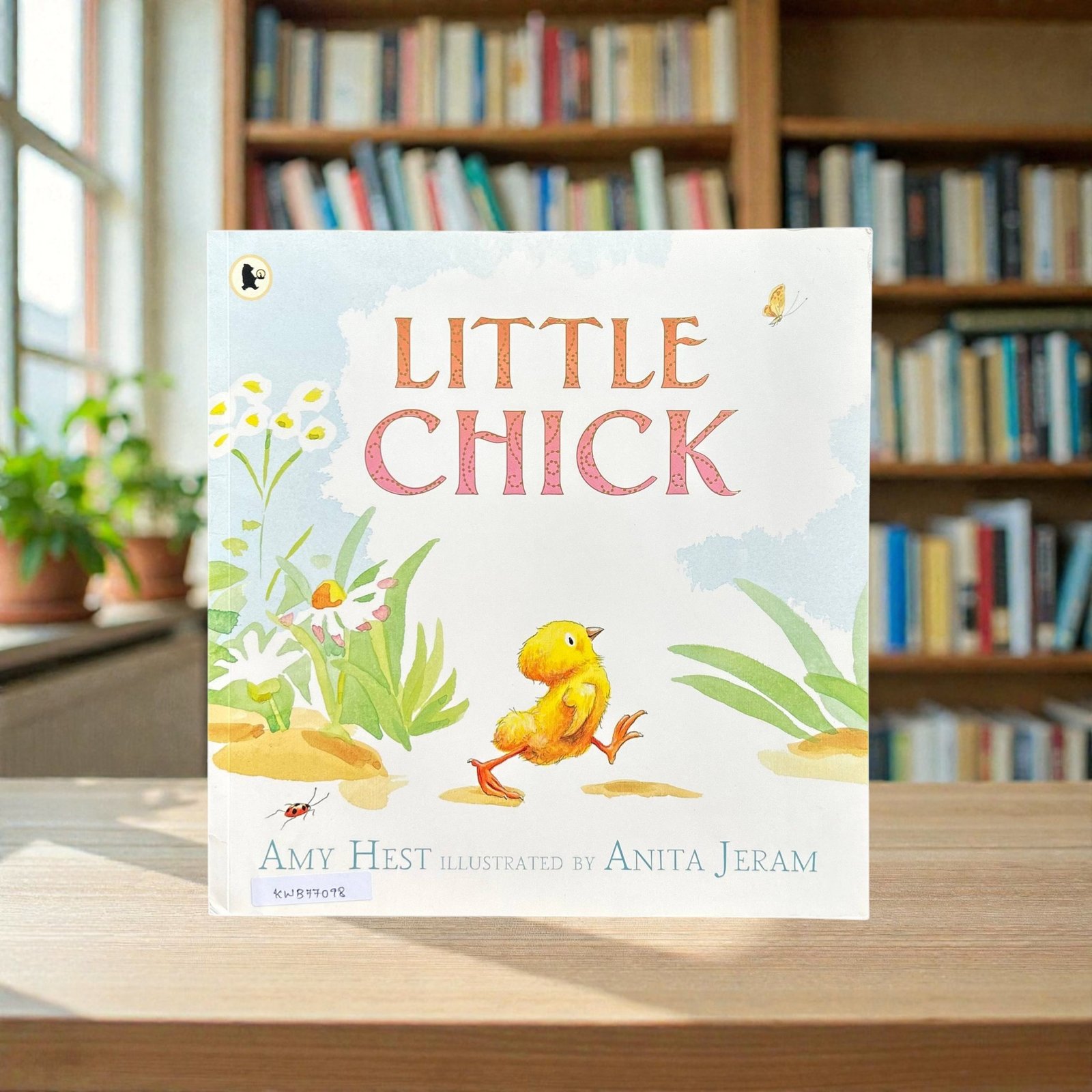 Little Chick_Amy Hest_KWB77098
