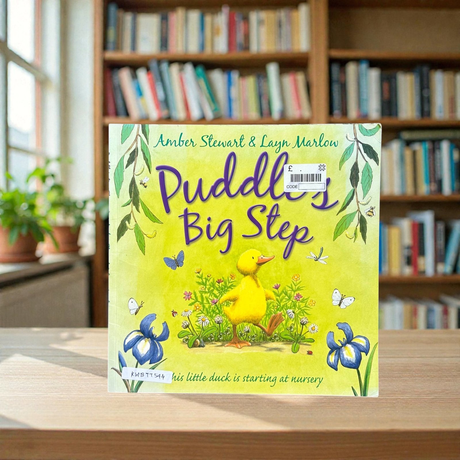 Puddle's Big Step_Amter Stewart_KWB77544