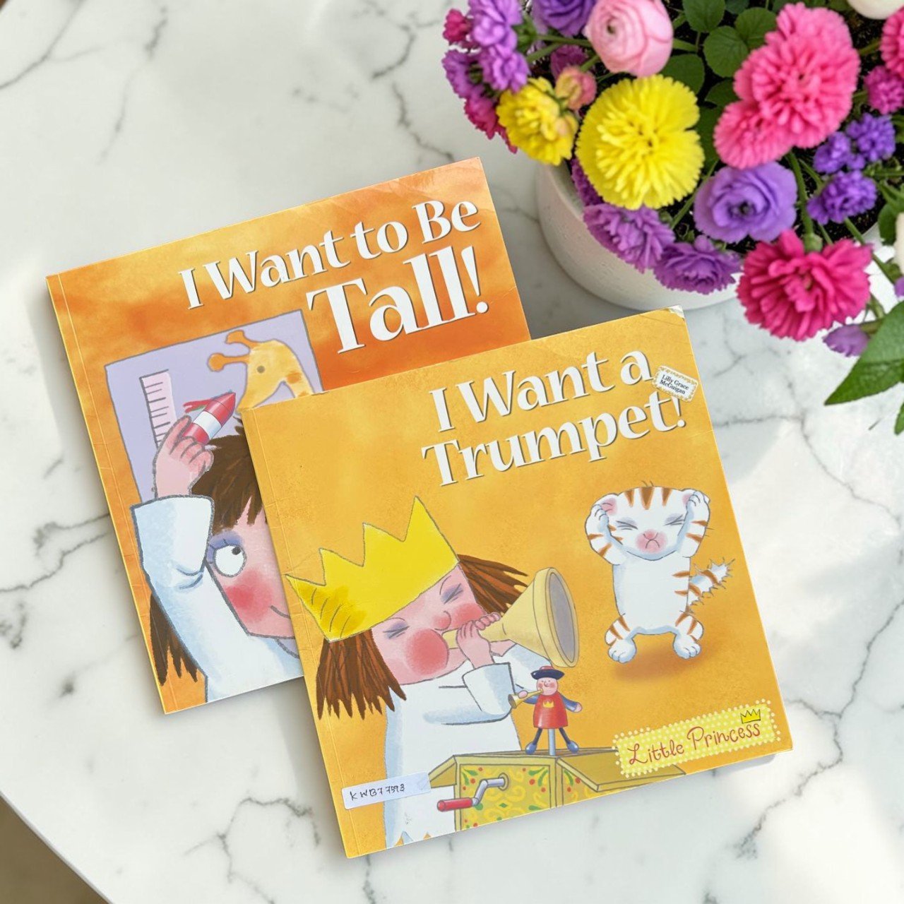 A Little Princess_Set Of 2 Books_Tony Ross_KWB77593