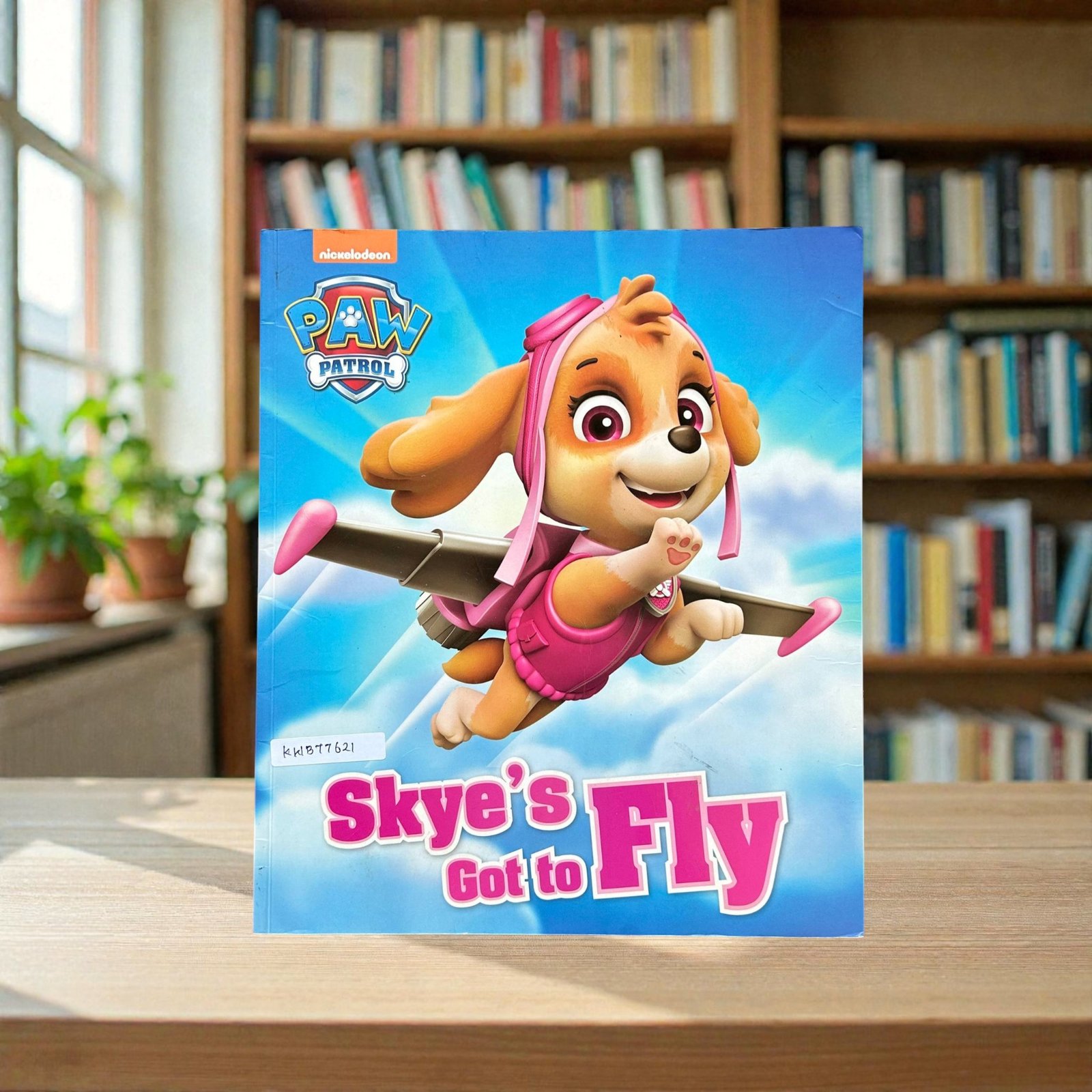 Sky's Got To Fly_Paw Patrol_Nickelodeon_KWB77621