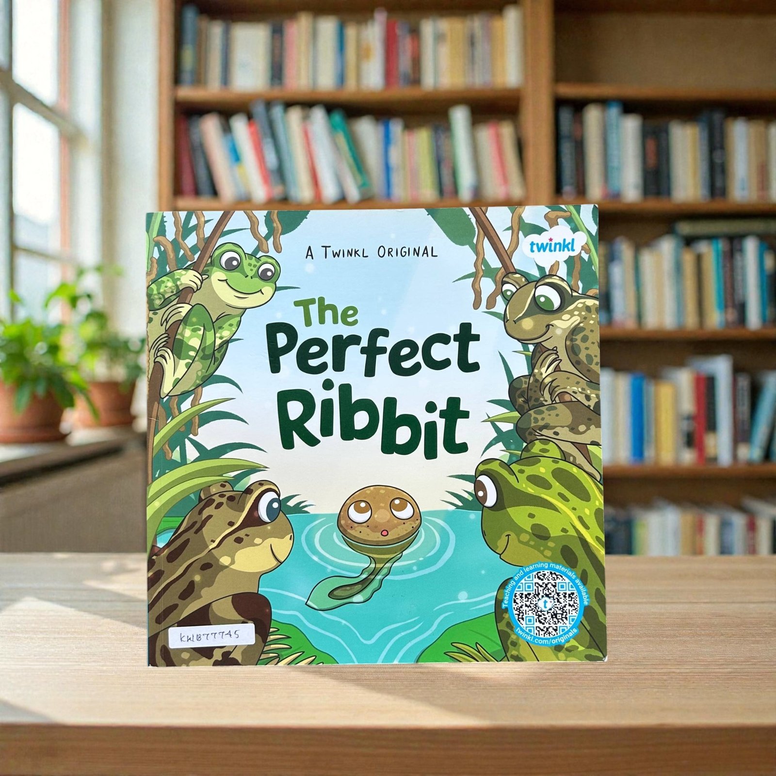 The Perfect Rabbit_A Twinkl Original_KWB77745