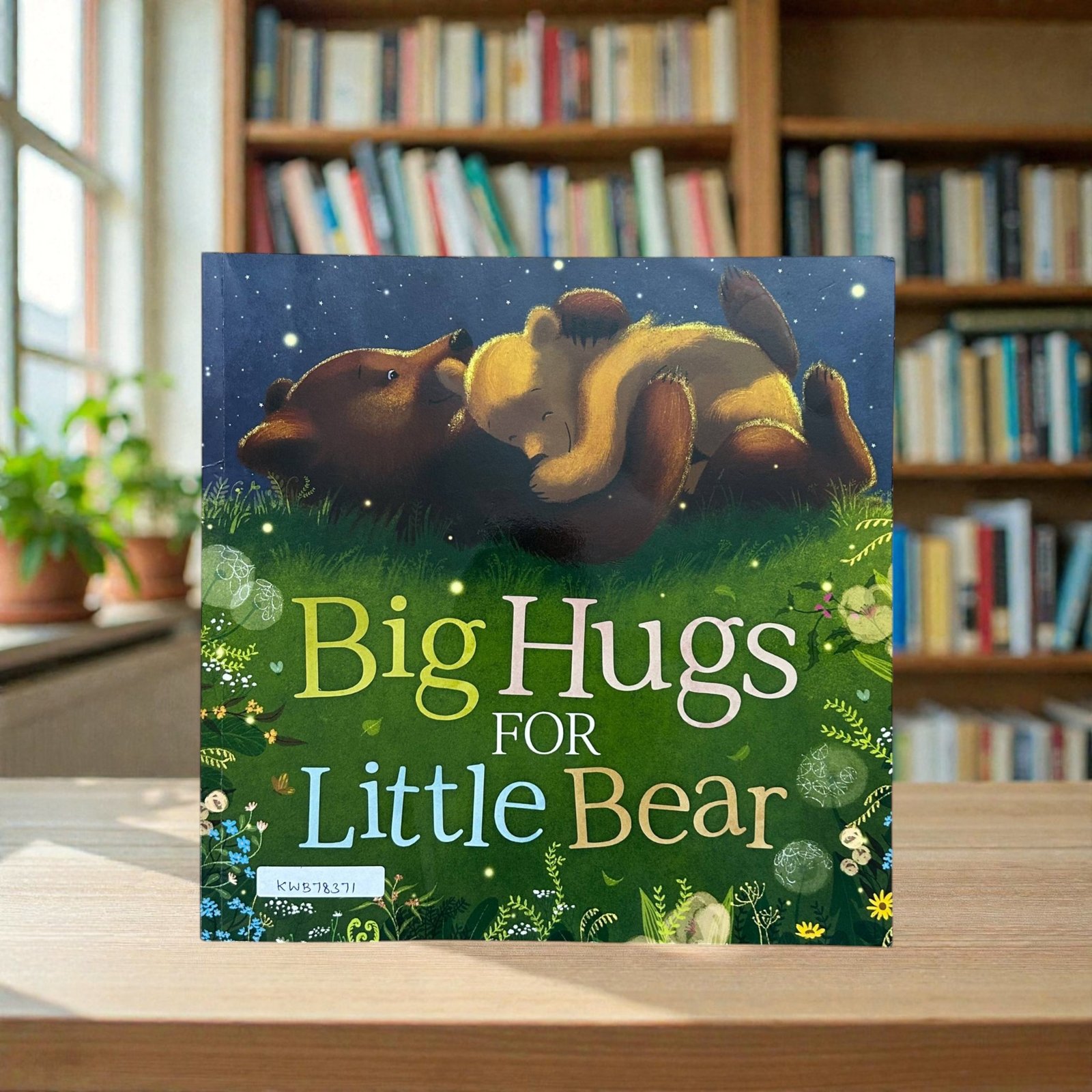 Big Hugs For Little Bear_Igloobooks_KWB78371