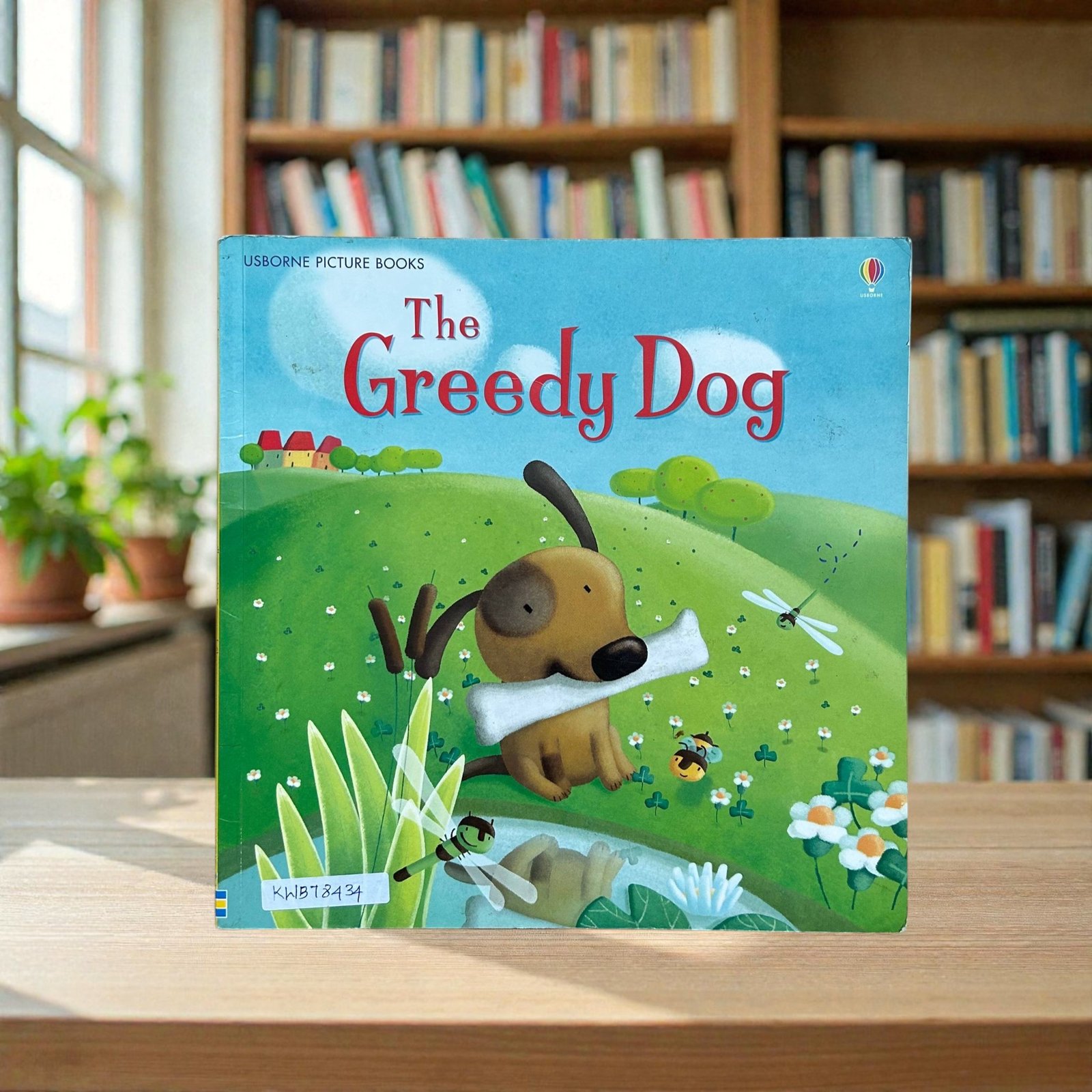 The Greedy Dog_Usborne Picture Books_KWB78434