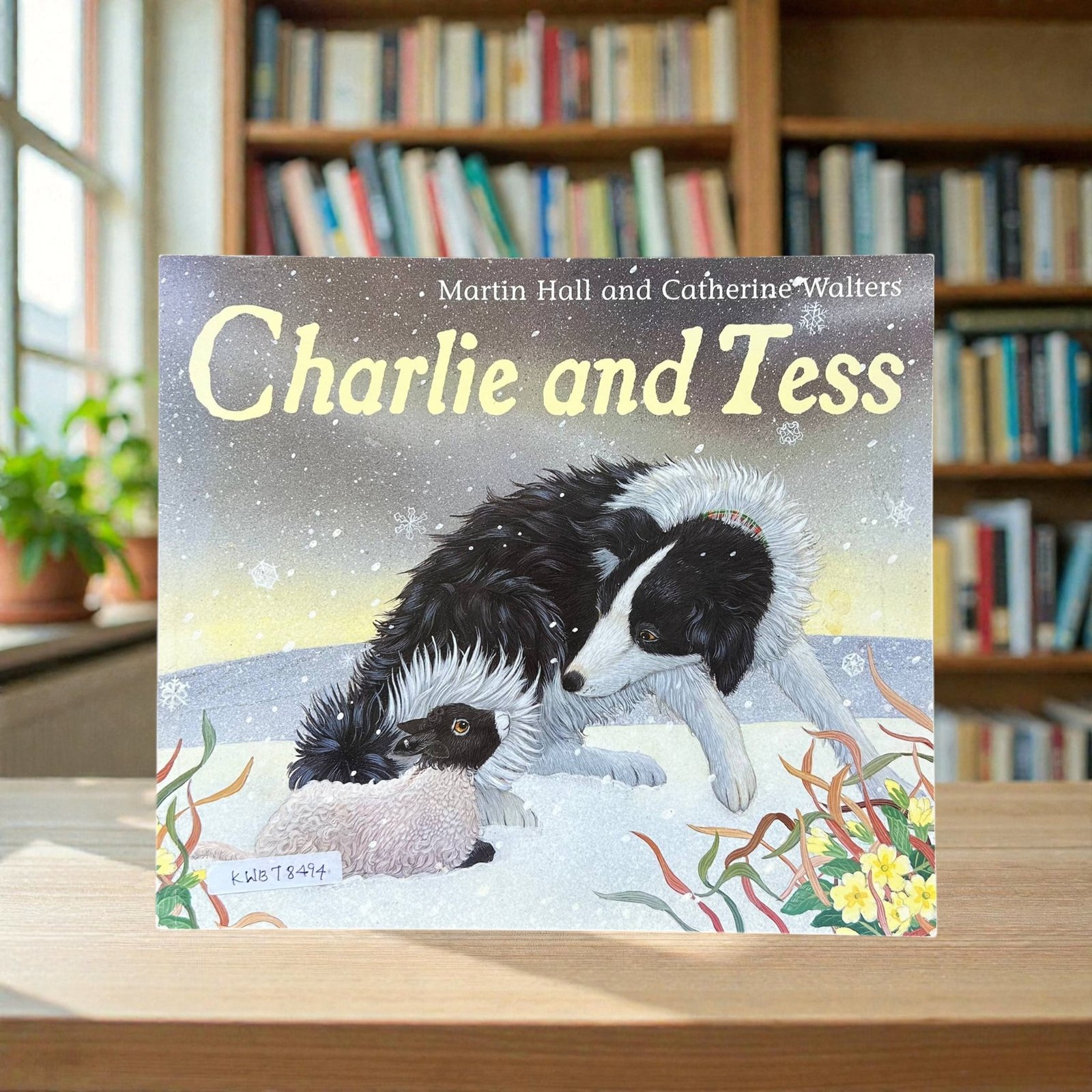 Charlie And Tees_Martin Hall_KWB78494